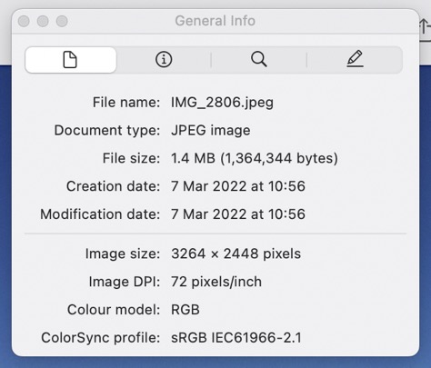 Image Inspector General Info File