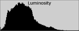 luminance_histogram