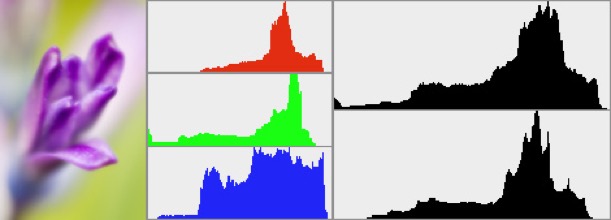 rgb_channels_and_composite_for both_tonal_range_and_luminosity