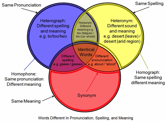 Synonym, Homonymcand more