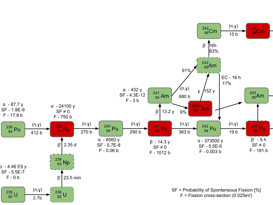 Chain of the transuranic elements.