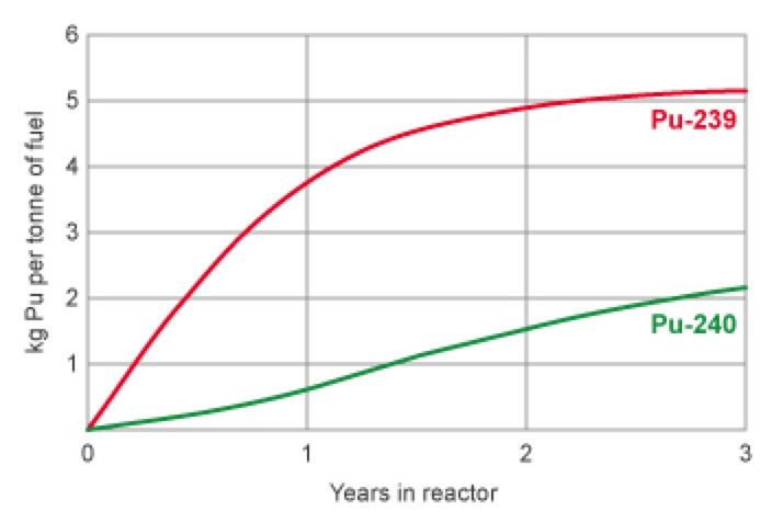 Plutonium in the Reactor