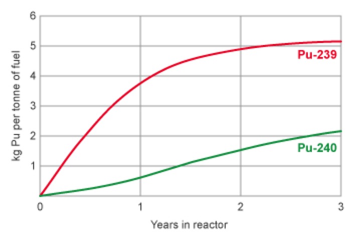 Plutonium in the Reactor