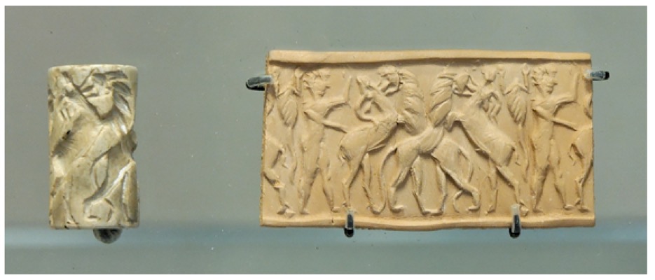 Cylinder Seals