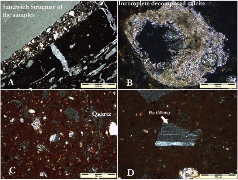 Optical Microscopy