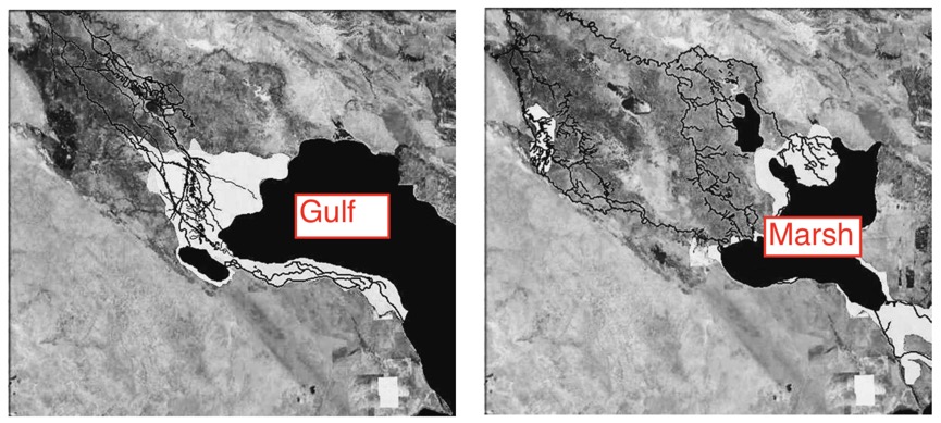 Mesopotamian Delta Ur and 1972